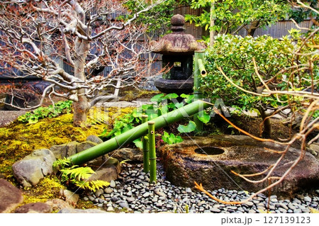 京都府　東寺 観智院・楓泉観の露地庭 獅子脅し　京都市 南区 九条町　2022年2月 127139123
