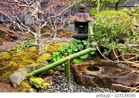 京都府 東寺 観智院・楓泉観の露地庭 獅子脅し 京都市 南区 九条町 2022年2月 京都府 東寺 観智院・楓泉観の露地庭 獅子脅し 京都市 南区 九条町 2022年2月 127139280