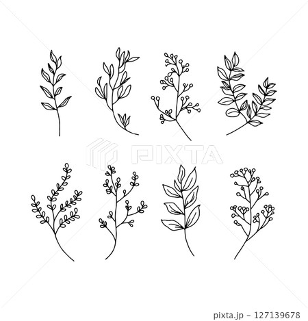 Hand Drawn Herb Set. Botanical collection of stylized herbs and plants with fine lines, perfect for organic packaging and wedding stationery. 127139678