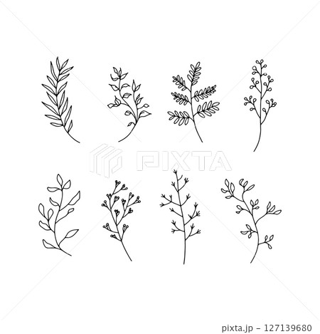 Delicate Botanical Set. Collection of delicate hand-drawn botanical elements, perfect for organic designs, invitations, and eco-themed visuals. 127139680