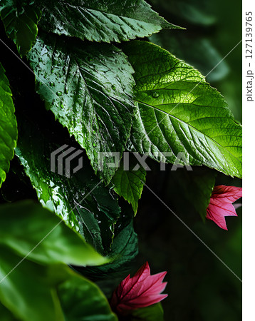 background for design grass and foliage and flowers. vertical green wallpaper 127139765