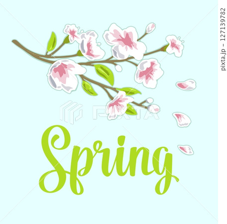 Sakura blossom. Cherry branch with flowers, bud. Spring lettering. Sakura blossom. Cherry branch with flowers, bud. Spring lettering. 127139782