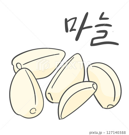 Garlic illustration and Korean calligraphy 127140388