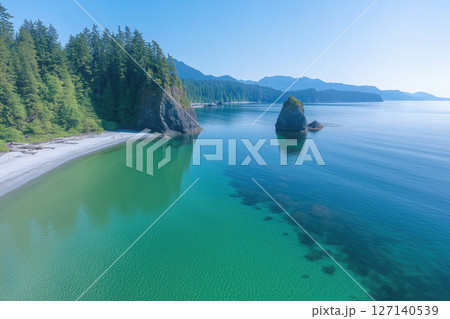 Aerial view of the seashore in the fog. Summer landscape. 127140539