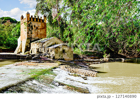 Algarrobo flour mill next to the banks of the Guadaira River, within Oromana Park in Alcala de Guadaira, Seville Algarrobo flour mill next to the banks of the Guadaira River, within Oromana Park in Alcala de Guadaira, Seville 127140890