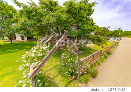 カーブドッチワイナリー 127141124