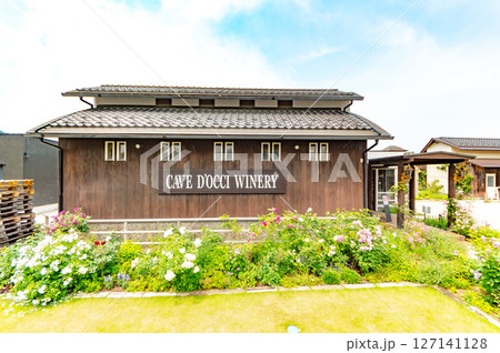 カーブドッチワイナリー 127141128