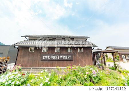 カーブドッチワイナリー 127141129