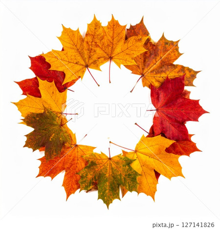 Colorful Autumn Maple Leaves Circular Frame on White 127141826