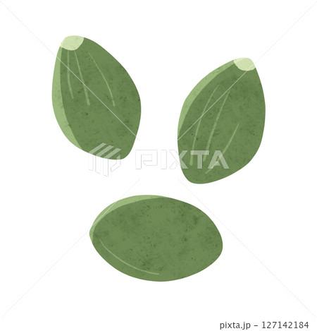 かぼちゃの種 水彩風手描きイラスト かぼちゃの種 水彩風手描きイラスト 127142184