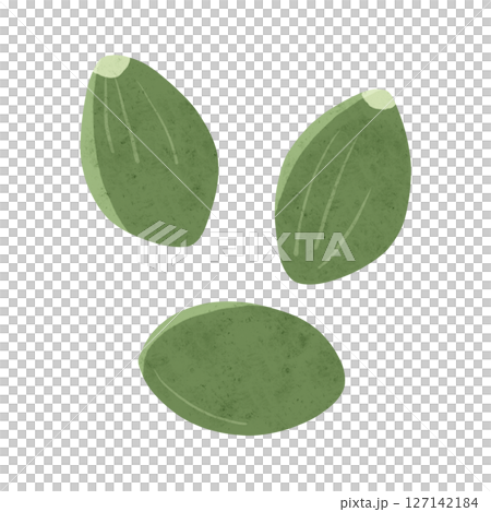 かぼちゃの種 水彩風手描きイラスト かぼちゃの種 水彩風手描きイラスト 127142184