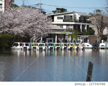 石神井公園 127142566