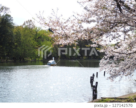 石神井公園 石神井公園 127142570