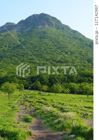 新緑の由布岳 127142987
