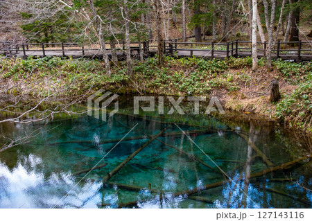 神の子池 127143116