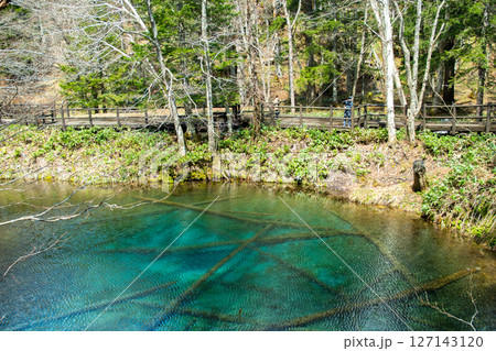 神の子池 127143120
