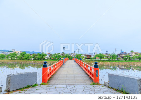 初夏の高田城址公園　西堀橋　新潟県上越市 127143135