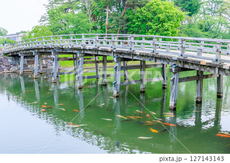 初夏の高田城址公園 極楽橋 新潟県上越市 初夏の高田城址公園 極楽橋 新潟県上越市 127143143
