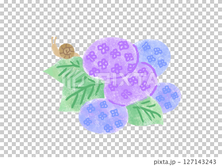 アジサイとカタツムリの手描きイラスト 127143243