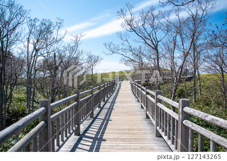 明石海峡大橋(ブリッジワールド) 明石海峡大橋(ブリッジワールド) 127143265