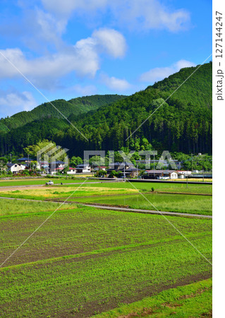 新大越路橋からの眺め　田園風景　思川流域　鹿沼市 127144247