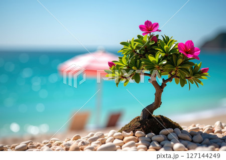 A bonsai tree with pink flowers on a pebble beach. A bonsai tree with pink flowers on a pebble beach. 127144249