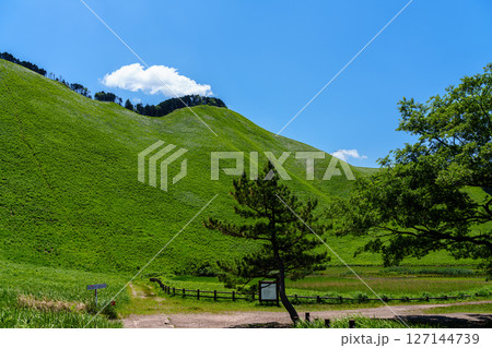 初夏の曽爾高原　お亀池の周囲をめぐる一番奥にある広場付近から見た風景　広場の樹木の向こうに見える亀山 127144739