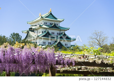 名城公園　藤の回廊と名古屋城 127144832