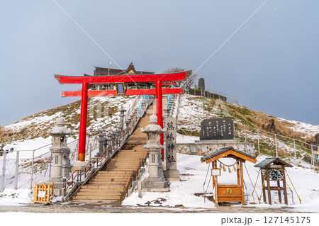 「青森県」ウミネコ繁殖地 蕪島神社の冬景色 八戸市 「青森県」ウミネコ繁殖地 蕪島神社の冬景色 八戸市 127145175