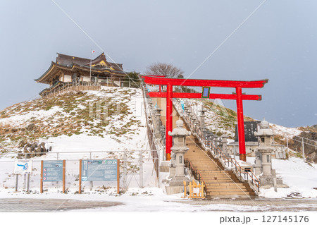 「青森県」ウミネコ繁殖地 蕪島神社の冬景色 八戸市 「青森県」ウミネコ繁殖地 蕪島神社の冬景色 八戸市 127145176