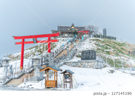 「青森県」ウミネコ繁殖地　蕪島神社の冬景色　八戸市 127145190