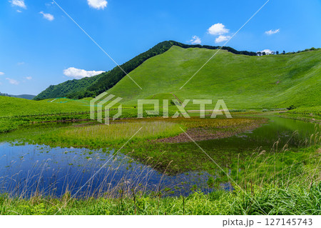初夏の曾爾高原 お亀池周囲もめぐる南側遊歩道から見た風景 お亀池の水面に映った二本ボソ 初夏の曾爾高原 お亀池周囲もめぐる南側遊歩道から見た風景 お亀池の水面に映った二本ボソ 127145743