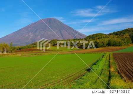 薄雲流れる秋晴れの青空を背景にした北海道後方羊蹄山南麓と農場の風景　Ver1 127145817