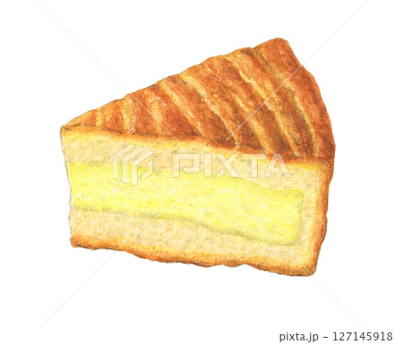 ガトーバスク 手描き 水彩色鉛筆イラスト ガトーバスク 手描き 水彩色鉛筆イラスト 127145918