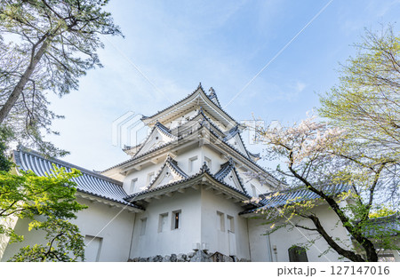 岐阜県大垣市 春の大垣城天守 岐阜県大垣市 春の大垣城天守 127147016