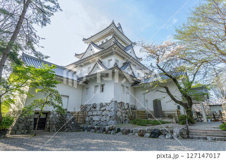 岐阜県大垣市　春の大垣城天守 127147017