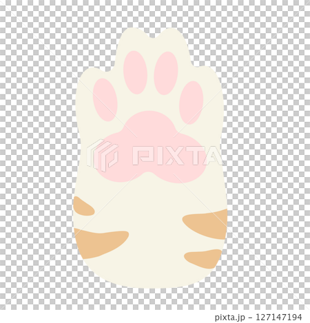 トラ縞の猫の手イラスト素材　肉球アイコン　白茶トラ　シンプル　ベクター　png 127147194