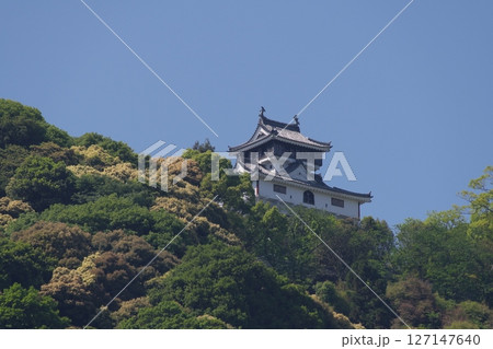 吉香公園から見る岩国城 吉香公園から見る岩国城 127147640