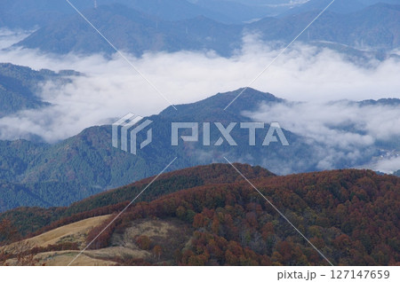 池田町上空の雲海　部子山からの眺め　福井県今立郡池田町 127147659