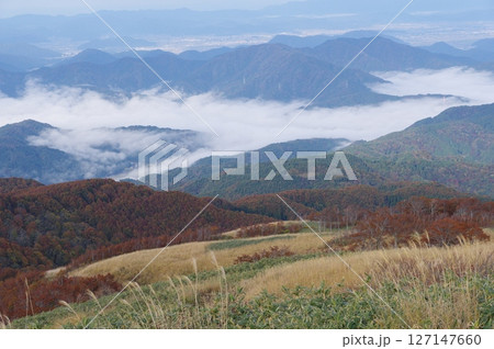 池田町上空の雲海　部子山からの眺め　福井県今立郡池田町 127147660