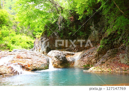 新緑に映える渓谷と清流 127147769