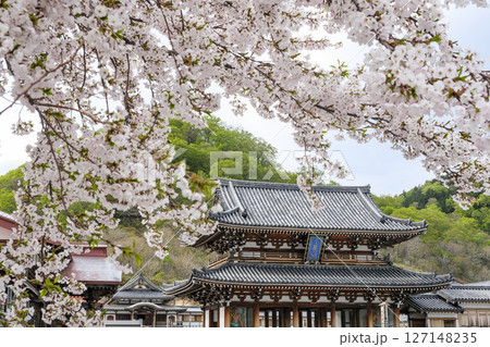 ソメイヨシノが満開の恐山菩提寺 127148235