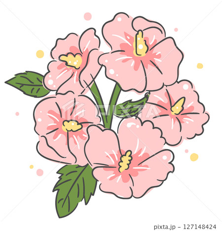 Illustration of Mugunghwa(rose of Sharon) Illustration of Mugunghwa(rose of Sharon) 127148424