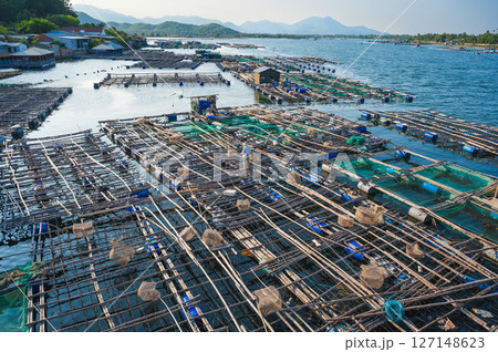 Shrimp and fish farming farm with fishing cages and nets on the water in sea bay in Vietnam in Asia in summer. Aerial view 127148623
