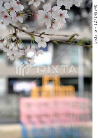 公園の遊具と桜 127148940