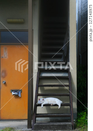 古いアパートの階段とノラ猫 127148975