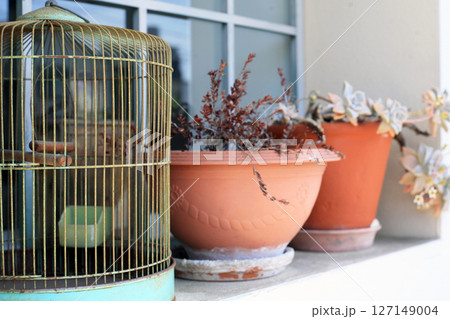 植木鉢と鳥籠のある窓 植木鉢と鳥籠のある窓 127149004