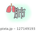 肺 127149193