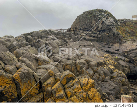 根室車石。根室半島花咲岬附近一帯に広く分布する放射状節理の発達した球状岩体。 根室車石。根室半島花咲岬附近一帯に広く分布する放射状節理の発達した球状岩体。 127149451