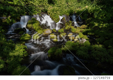 羊蹄山の湧水 127149759